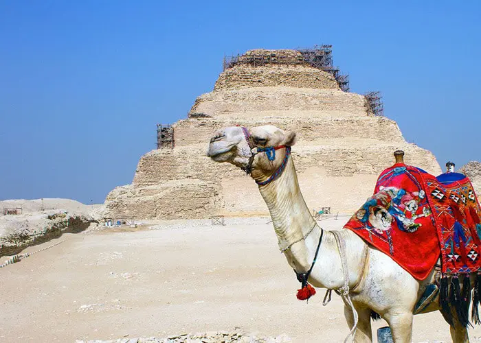Is Egypt Wheelchair Friendly in 2027? A Complete Guide for Wheelchair Travelers 6 Tour of the Pyramids of Dahshur and Saqqara from Port Said - Egypt Time Travel