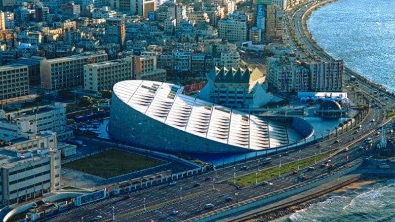 The great library of Alexandria