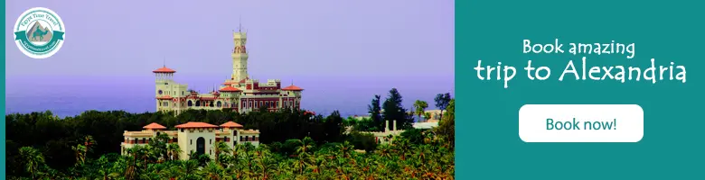 The City of Alexandria 24 alex link