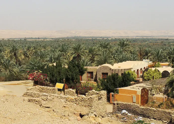 Bahariya Oasis