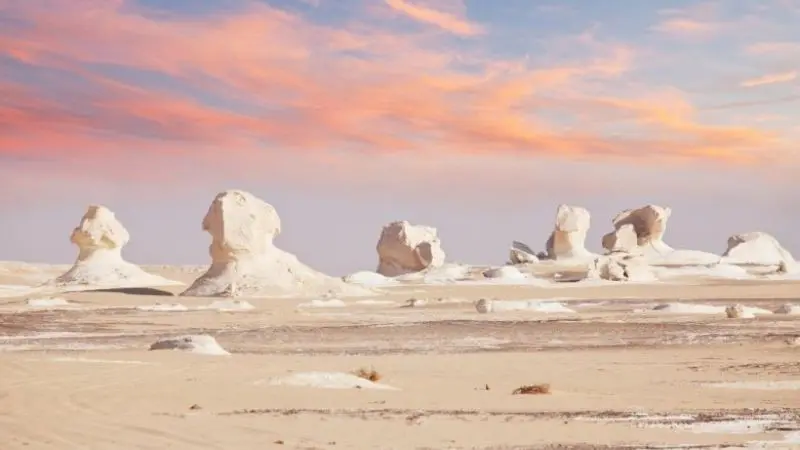 Bahariya Oasis