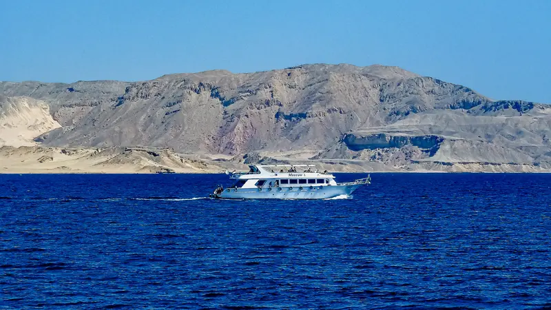 Tiran Island 8 Tiran Island Egypt