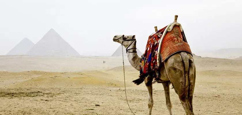 Best Time to Travel to Egypt - Your Guide For 2026-2027 25 Best time to travel to Egypt