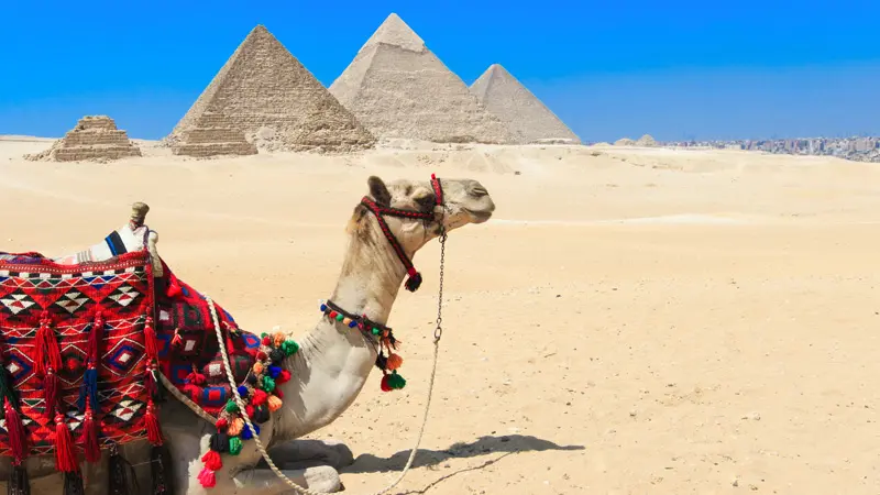 Egypt Itinerary 7 Days: Itinerary Sample 8 Day 2: Giza (7 days in Egypt )