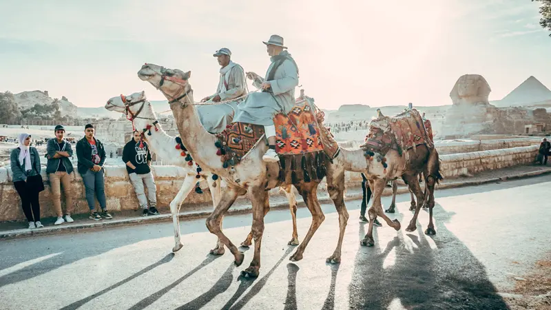 Top 12 Things to do in Cairo with Family 13 Things to Do in Cairo