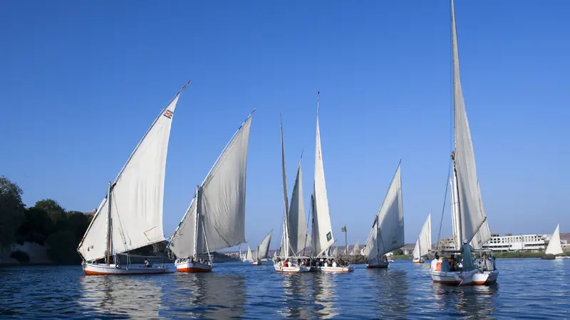 Top 12 Things to do in Cairo with Family 19 Felucca at Nile River