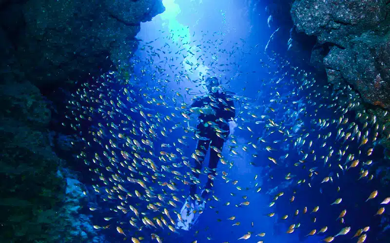 Beaches in Egypt: Your Ultimate Guide to Egyptian Beaches 8 Beach in Egypt