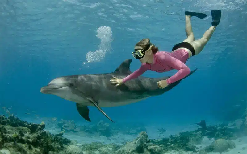 Egypt Outdoor Activities: Best Things to Do in Egypt 12 Egypt Outdoor Activities