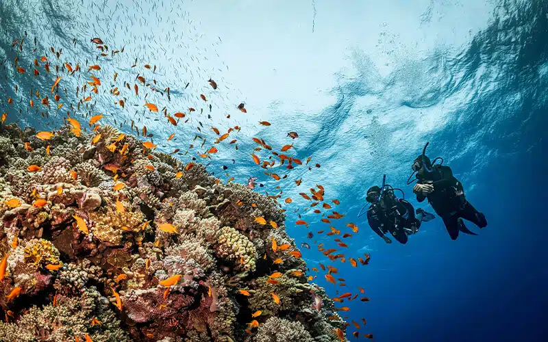 Egypt Outdoor Activities: Best Things to Do in Egypt 8 Egypt Outdoor Activities