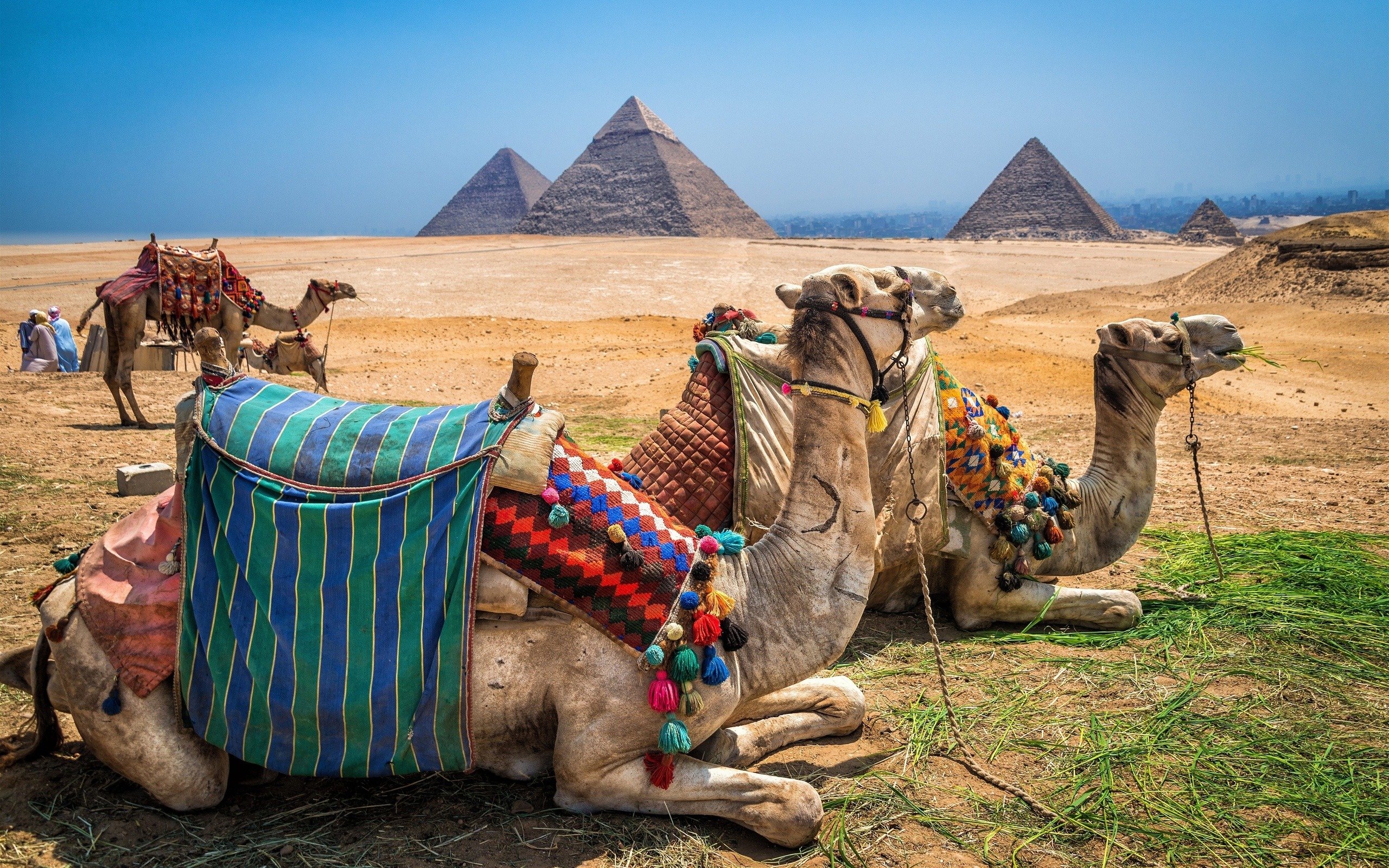 Egypt travel tips. everything you need to know about it 5 travel tips
Egypt travel tips
the Pyramids
the most important travel tips
driving in Egypt