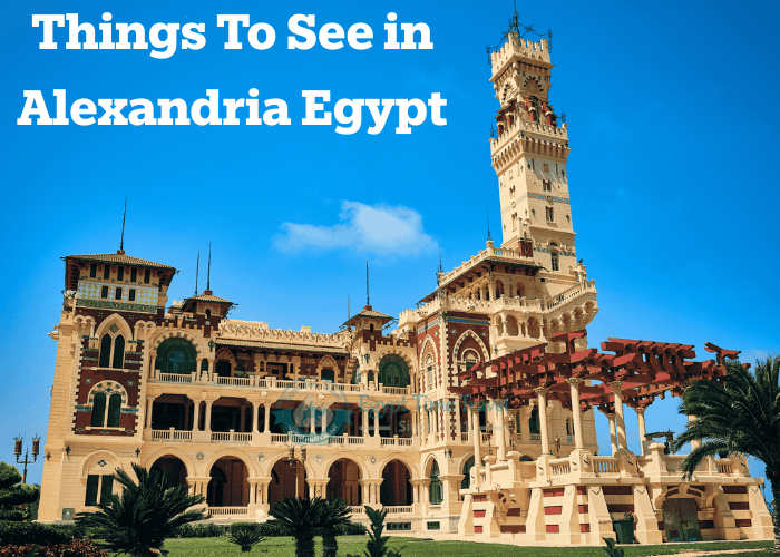 Things To See in Alexandria Egypt