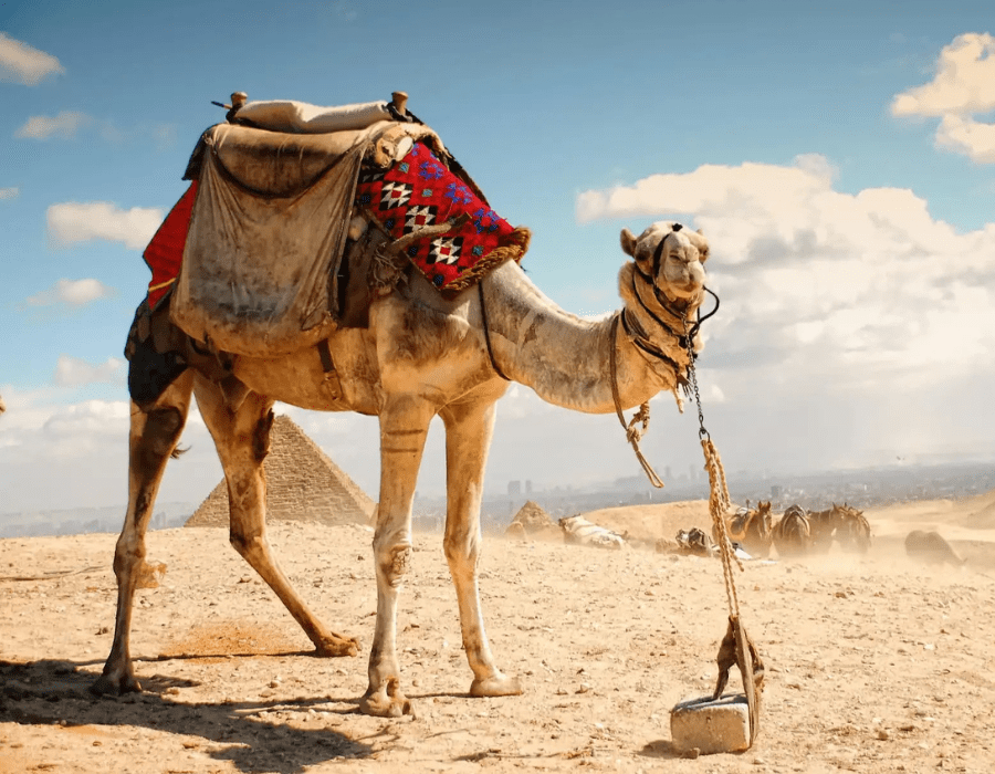 How To Spend Best Egypt Pyramids Tour With Egypt Time Travel ? 15 Egypt pyramids tour