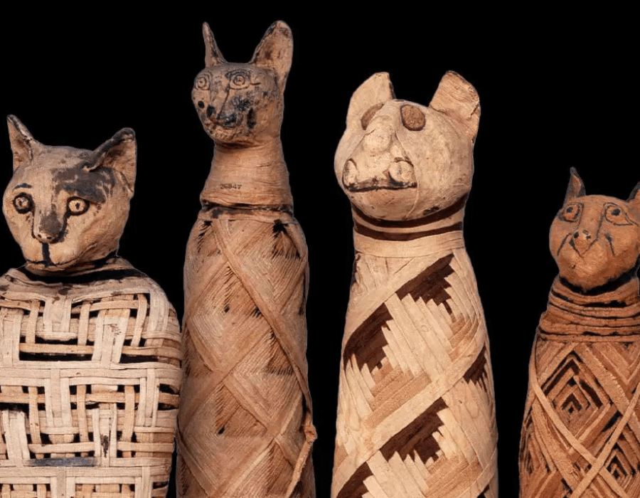 Bastet Egyptian Goddess 9 bastet egyptian goddess