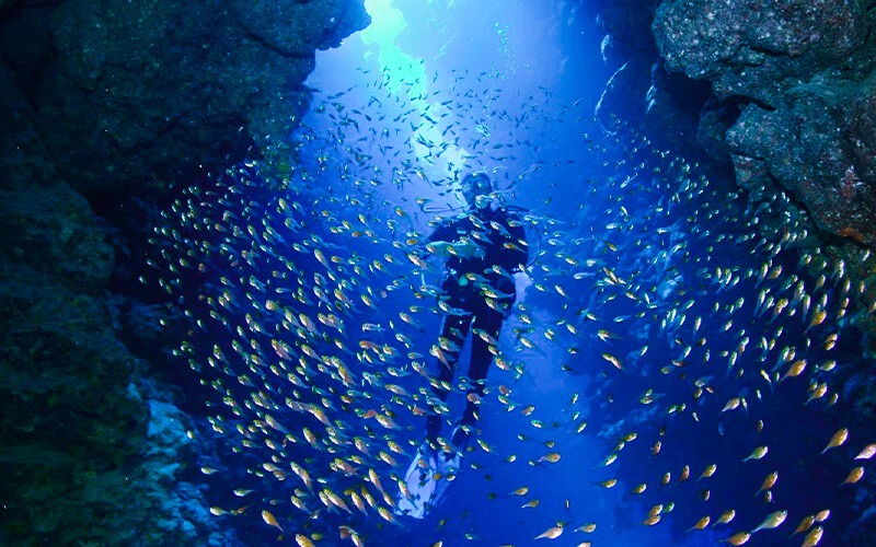 Scuba Diving Spots in Egypt 2026 8 Scuba Diving Egypt