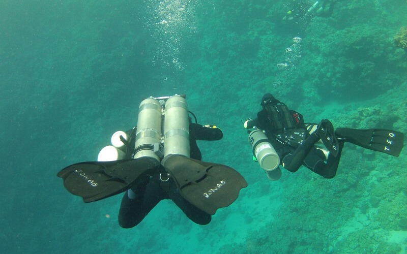 Scuba Diving Spots in Egypt 2026 10 Scuba Diving Egypt