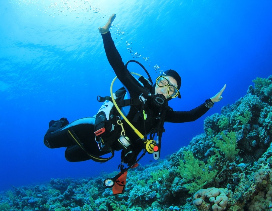 Things To Do In Sharm El Sheikh Egypt 2026 7 Things To Do In Sharm El Sheikh Egypt