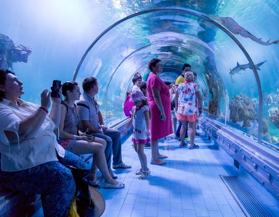 Things To Do in Hurghada Egypt in 2026 7 Things To Do in Hurghada Egypt