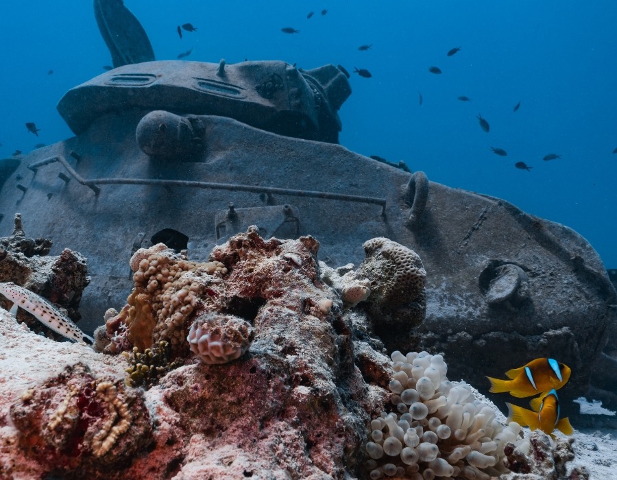 Things To Do in Hurghada Egypt in 2026 8 Things To Do in Hurghada Egypt