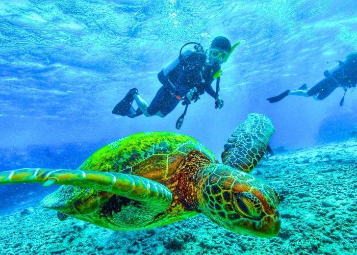 Scuba Diving Egypt