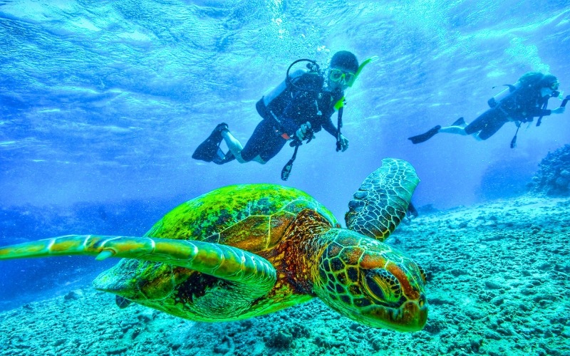 scuba-diving-egypt Scuba Diving Egypt