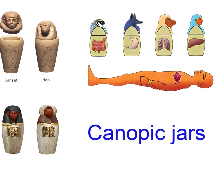 Canopic jars in Ancient Egypt 8 what were canopic jars used for in ancient egypt