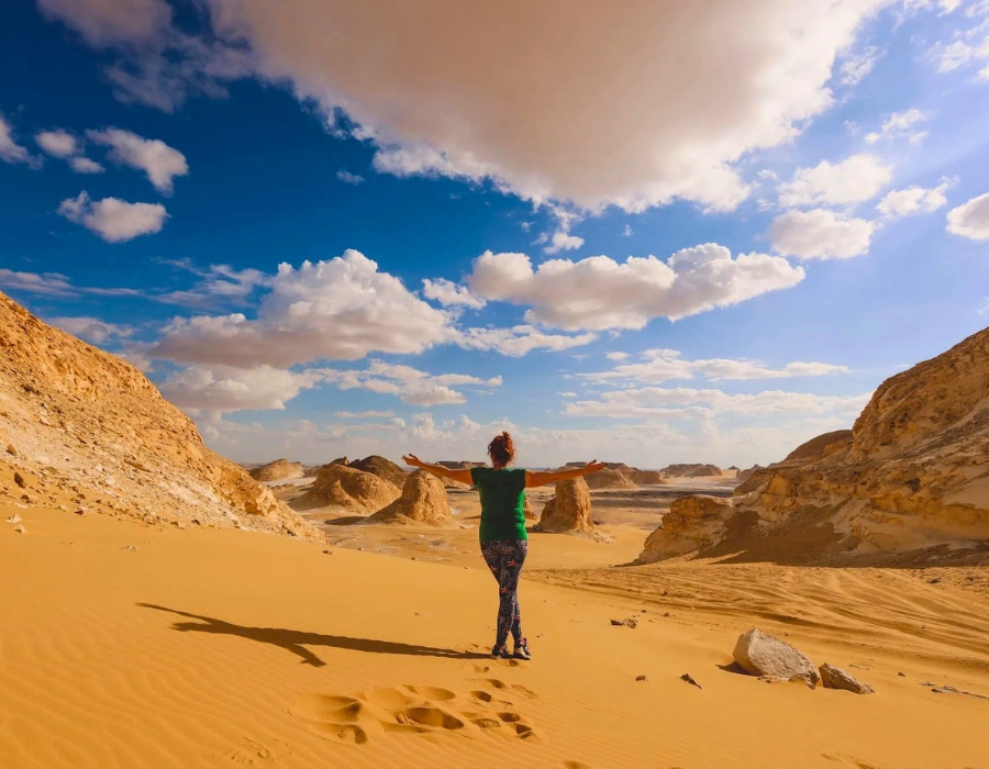 Black and White Desert Egypt: Complete Guide to Location, Tours, Costs, Best Time & What to Expect 1 Black and White Desert Egypt