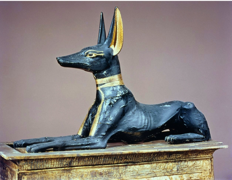 Anubis: The Jackal God Who Protected Ancient Egypt's Dead 1 Anubis